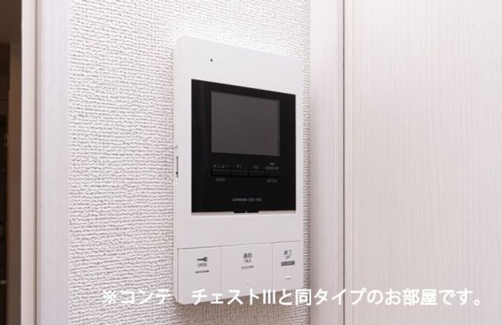 グローブの内装