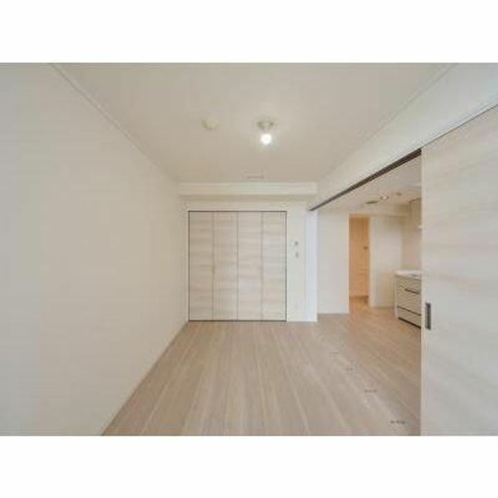 東京都中央区佃2(マンション)の賃貸物件の内装