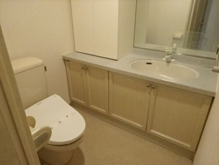 ライオンズステージ上野毛の内装