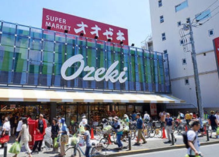 ライオンズステージ上野毛の周辺