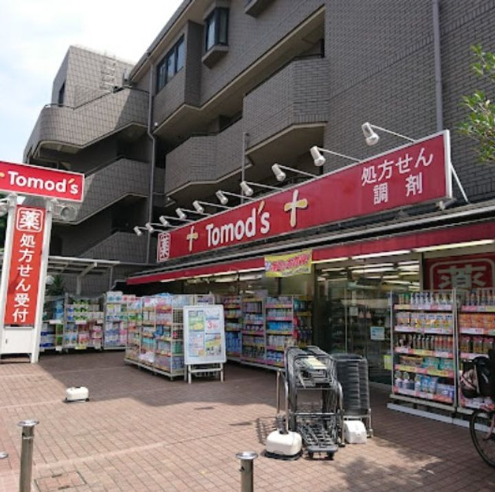 ライオンズステージ上野毛の周辺