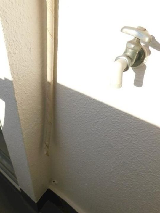 東京都世田谷区経堂1(マンション)の賃貸物件のその他画像