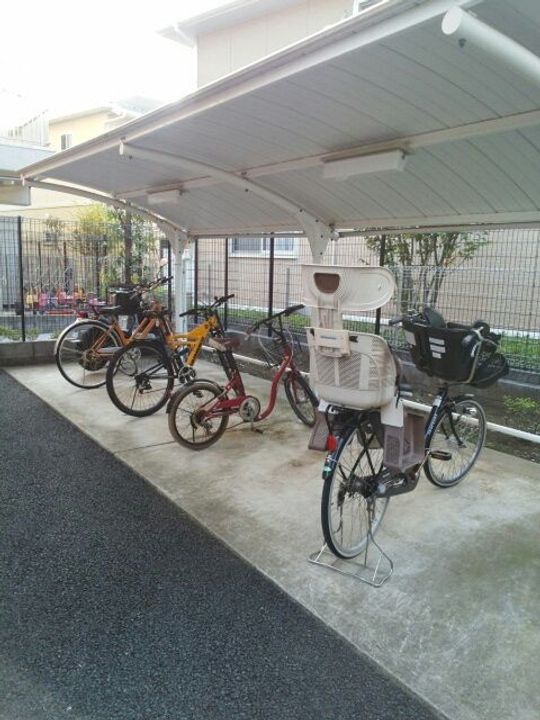 プリムローズのその他画像