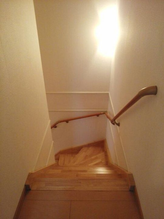 プリムローズのその他画像