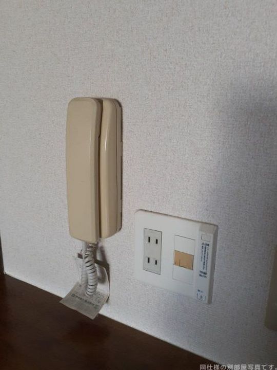 コスモスの内装