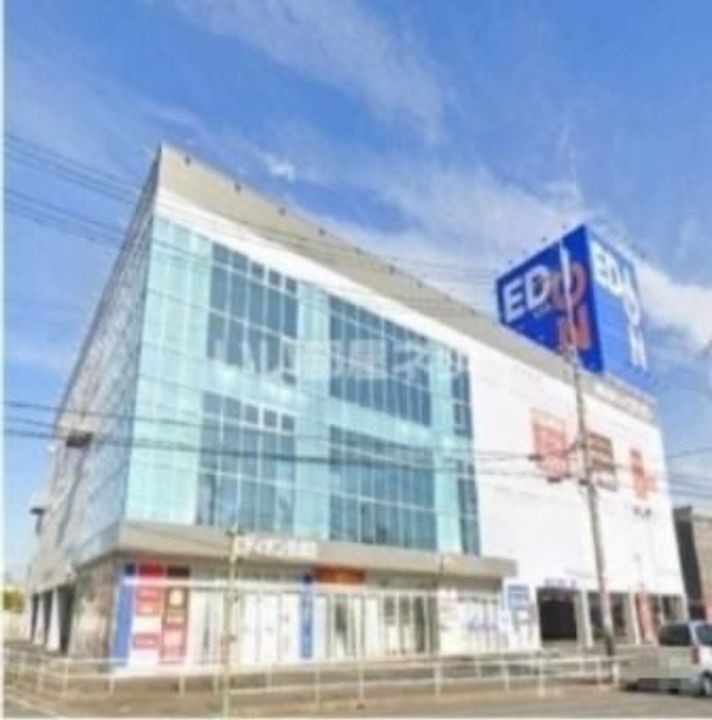 コスモスの周辺