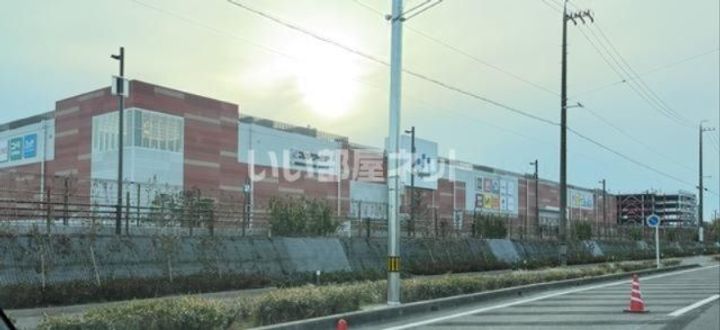 コスモスの周辺