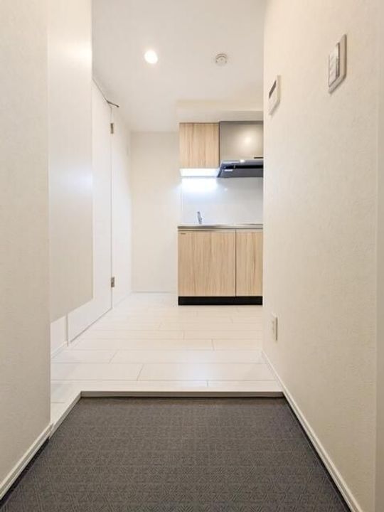 東京都大田区新蒲田1(マンション)の賃貸物件の玄関