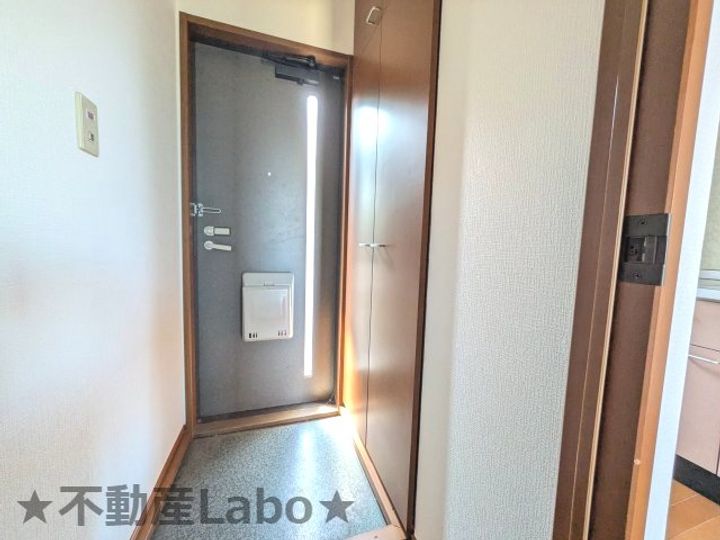 徳島県板野郡藍住町徳命字前須西(アパート)の賃貸物件の玄関