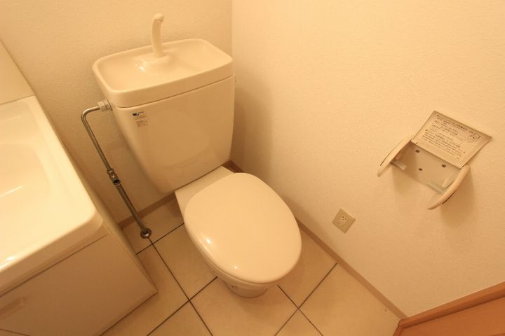 神奈川県藤沢市大庭(マンション)の賃貸物件の内装