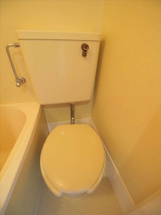 千葉県市川市宝2(マンション)の賃貸物件の内装