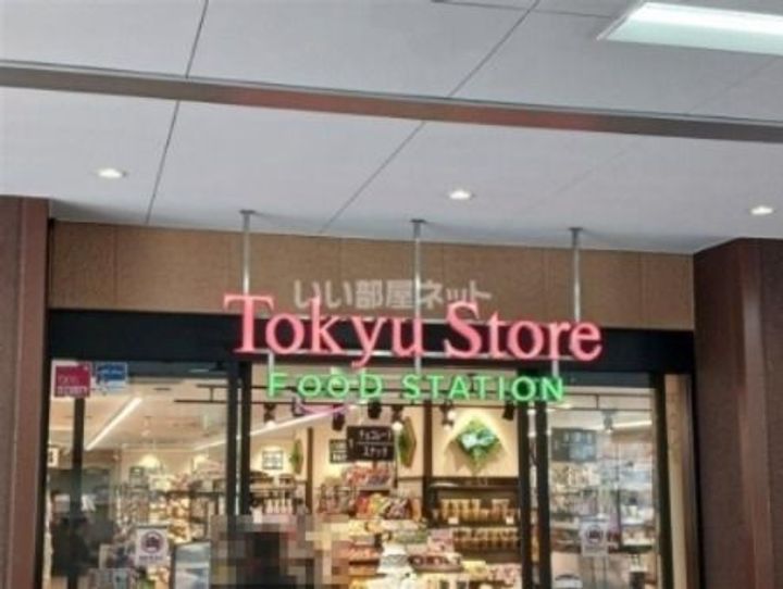 ブライズ鷺沼の周辺