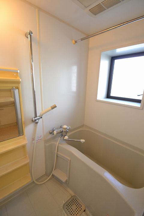 ロアール南竹屋の風呂