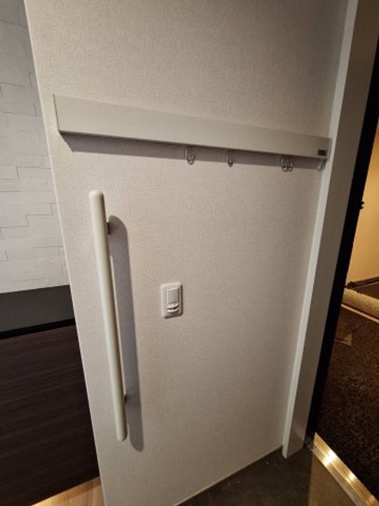 神奈川県横浜市港北区下田町2(マンション)の賃貸物件の玄関