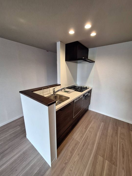 神奈川県横浜市港北区下田町2(マンション)の賃貸物件のキッチン