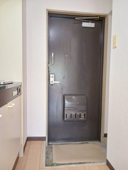 東京都八王子市松木(マンション)の賃貸物件の玄関