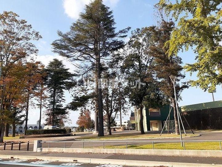 栃木県宇都宮市今宮2(アパート)の賃貸物件の周辺