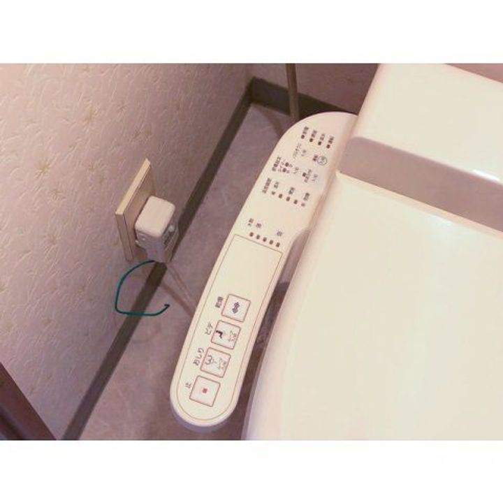 埼玉県入間郡毛呂山町大字毛呂本郷(アパート)の賃貸物件の内装