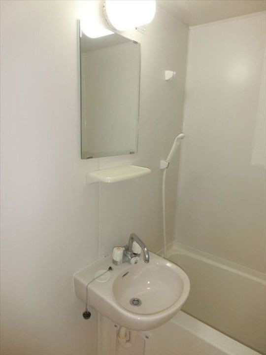 和歌山県和歌山市新留丁(マンション)の賃貸物件の内装