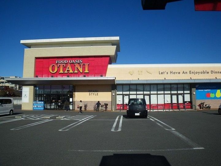 栃木県宇都宮市御幸町(アパート)の賃貸物件の周辺