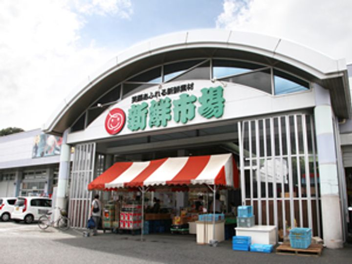 サンヒルズ江良Bの周辺