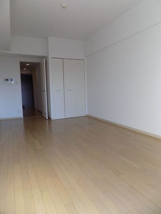 フェニックスレジデンス堺東の内装