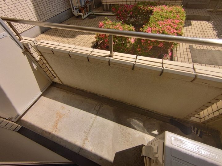 静岡県浜松市中央区中沢町(マンション)の賃貸物件の内装