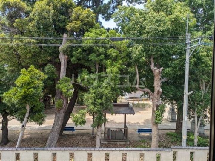 藤美ハイツのその他画像