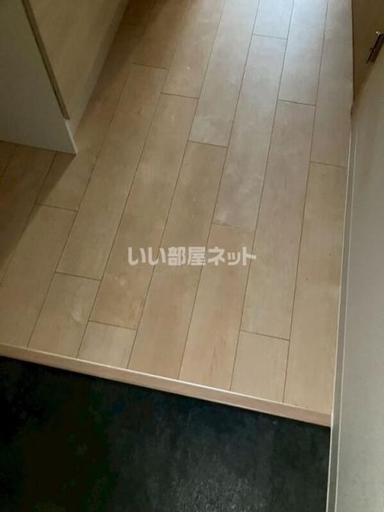 大阪府大阪市鶴見区徳庵2丁目の賃貸アパートの玄関