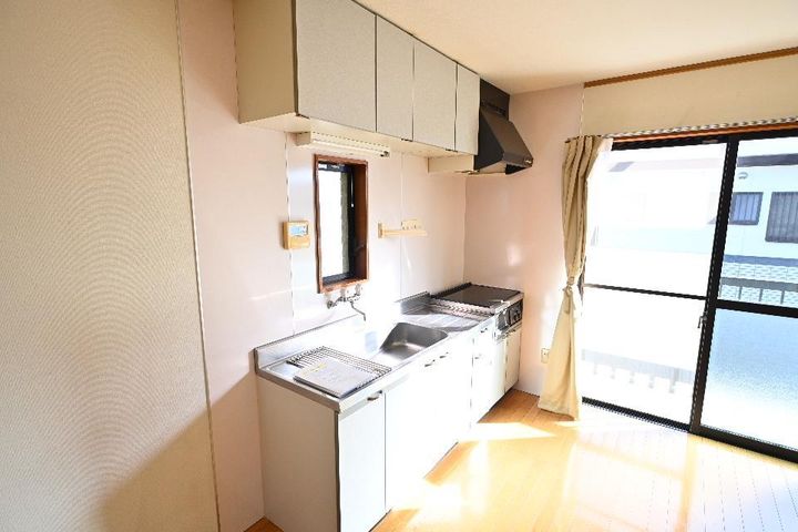 コーポアネックスM1のキッチン