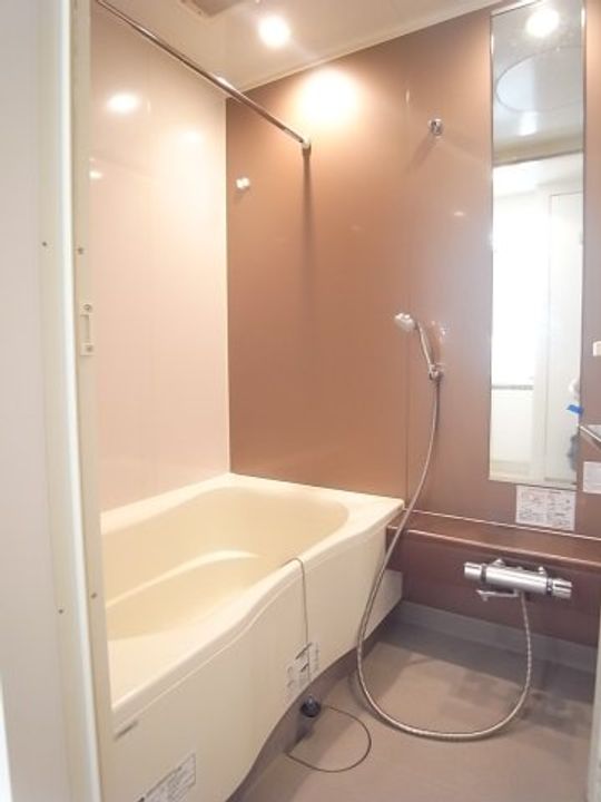 東京都港区東新橋2(マンション)の賃貸物件の風呂