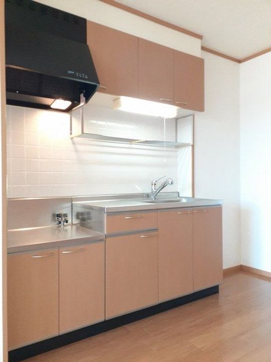 新潟県長岡市三島中条(アパート)の賃貸物件のキッチン