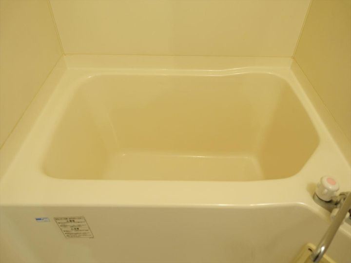 オールドゥパレの風呂