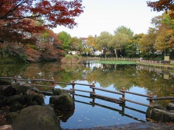 スタイリオ妙蓮寺の周辺
