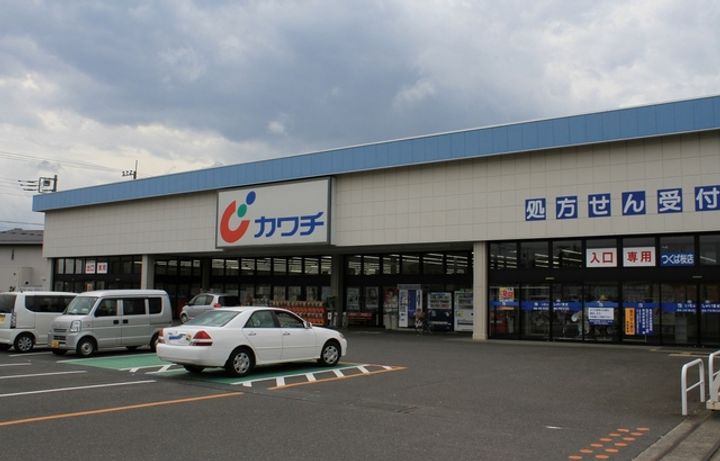 ハイパー桜の周辺