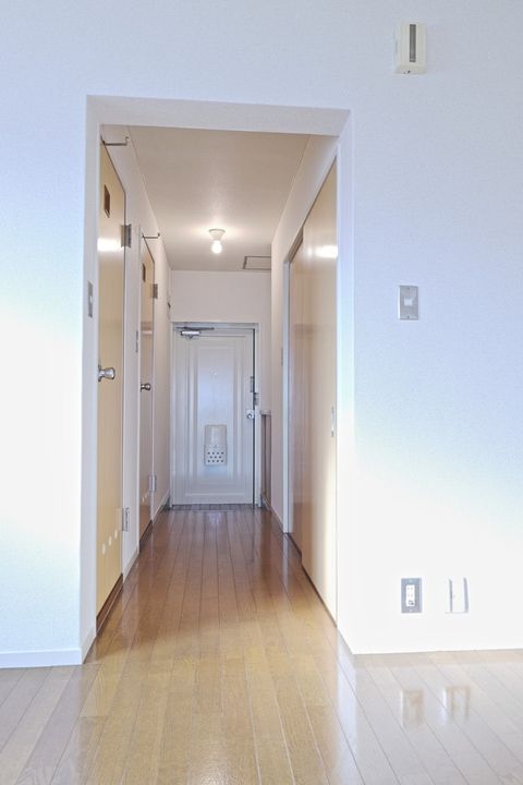 橋本マンションの玄関