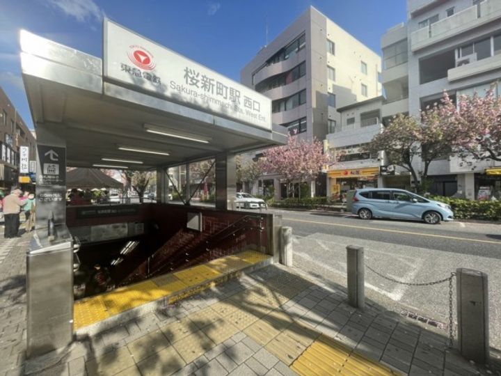 ネオカーサの周辺