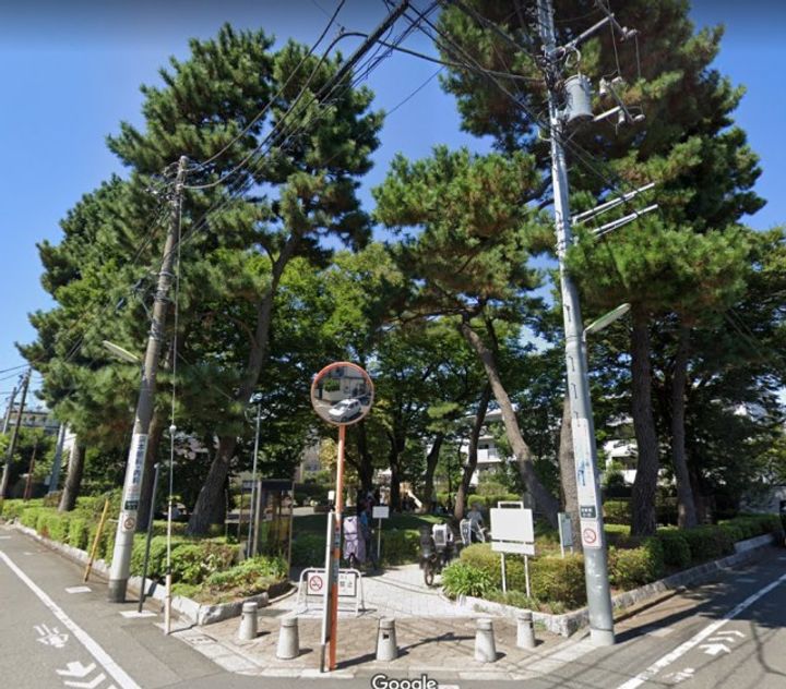 ネオカーサの周辺