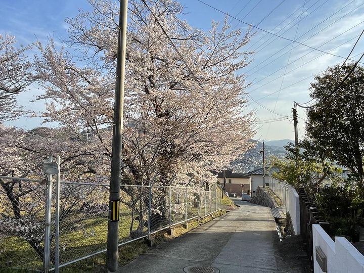 広島県呉市上平原町(一戸建)の賃貸物件のその他画像