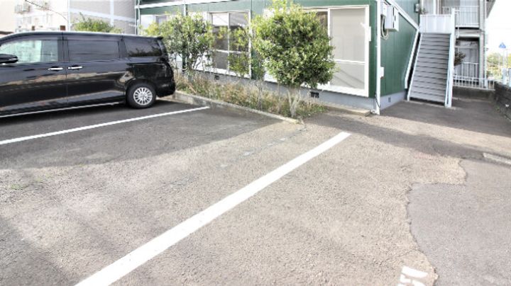 グリーンピースの地図