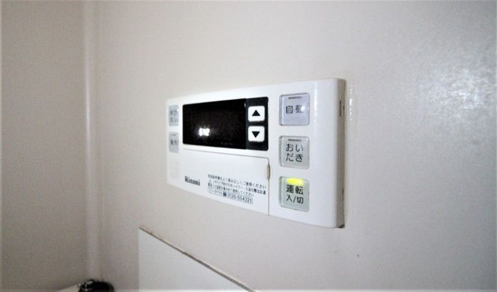 グリーンピースの内装