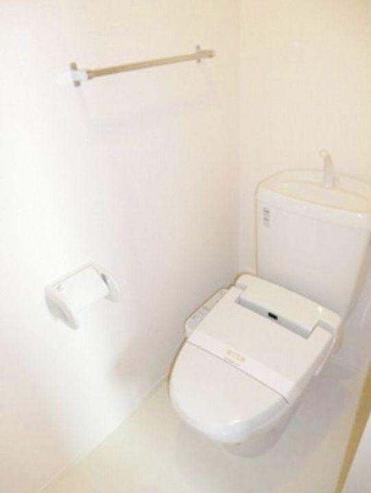 千葉県習志野市藤崎2(アパート)の賃貸物件の内装