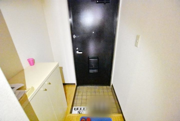 神奈川県厚木市金田(マンション)の賃貸物件の玄関