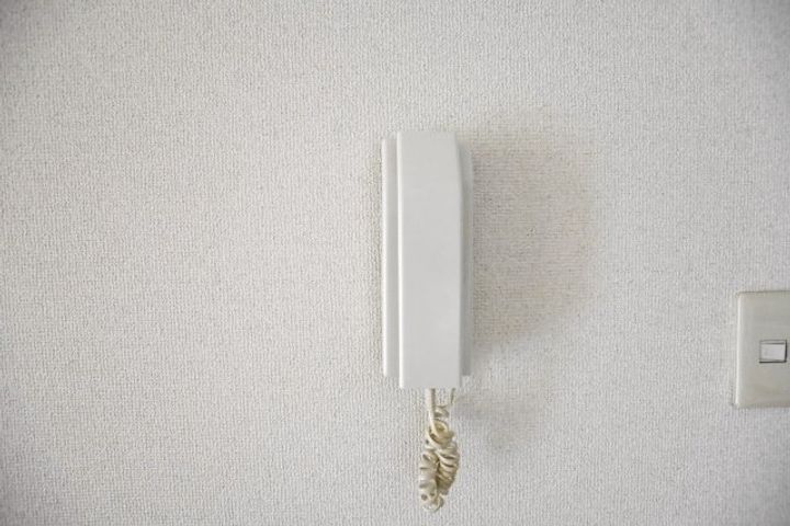 神奈川県厚木市金田(マンション)の賃貸物件の内装