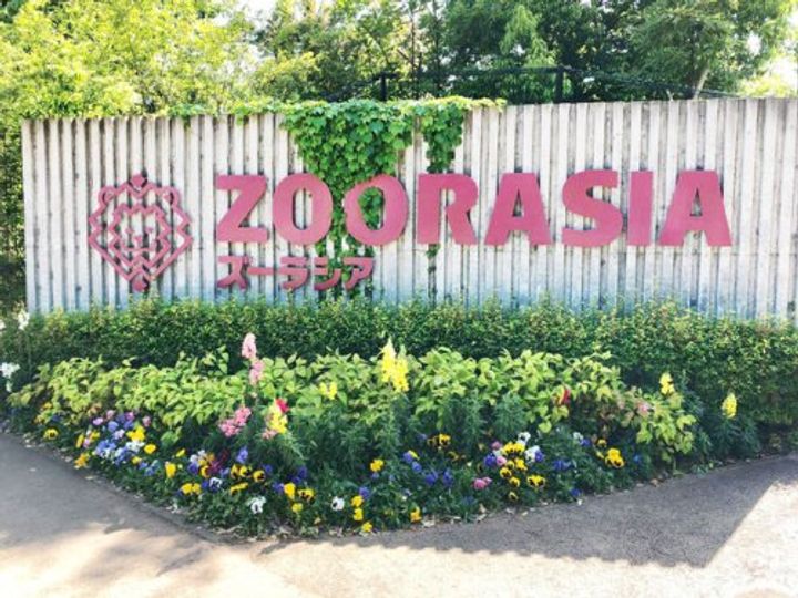 神奈川県横浜市旭区今宿東町(アパート)の賃貸物件の周辺