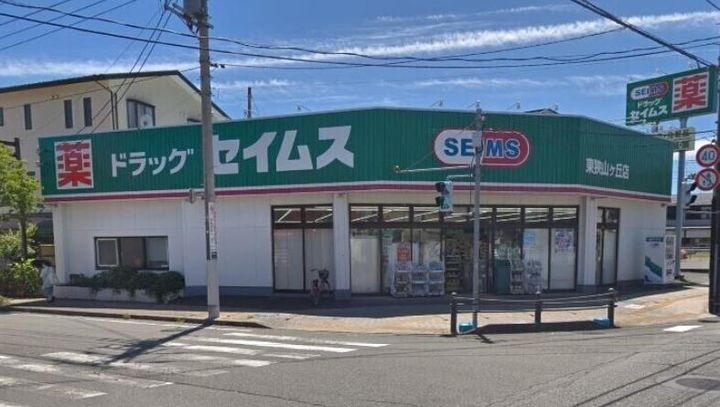 ヴィラパルステージIの周辺