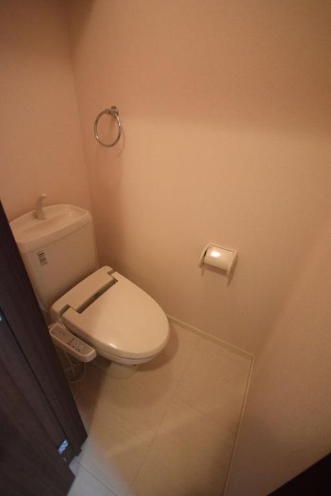 大阪府柏原市田辺1(アパート)の賃貸物件の内装