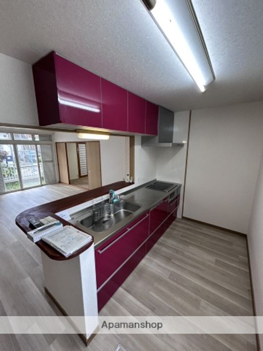 宮崎県宮崎市江平東町(一戸建)の賃貸物件のキッチン