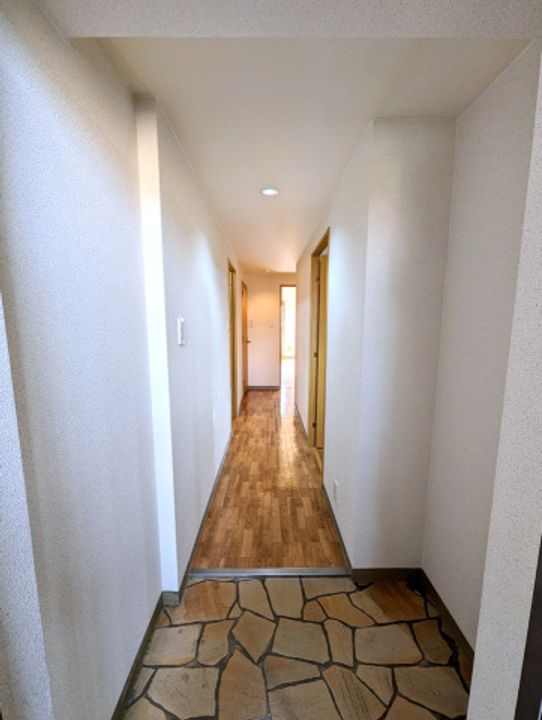 大阪府大阪市平野区瓜破東2(マンション)の賃貸物件の玄関