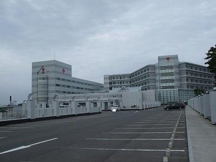 セントポーリアの周辺